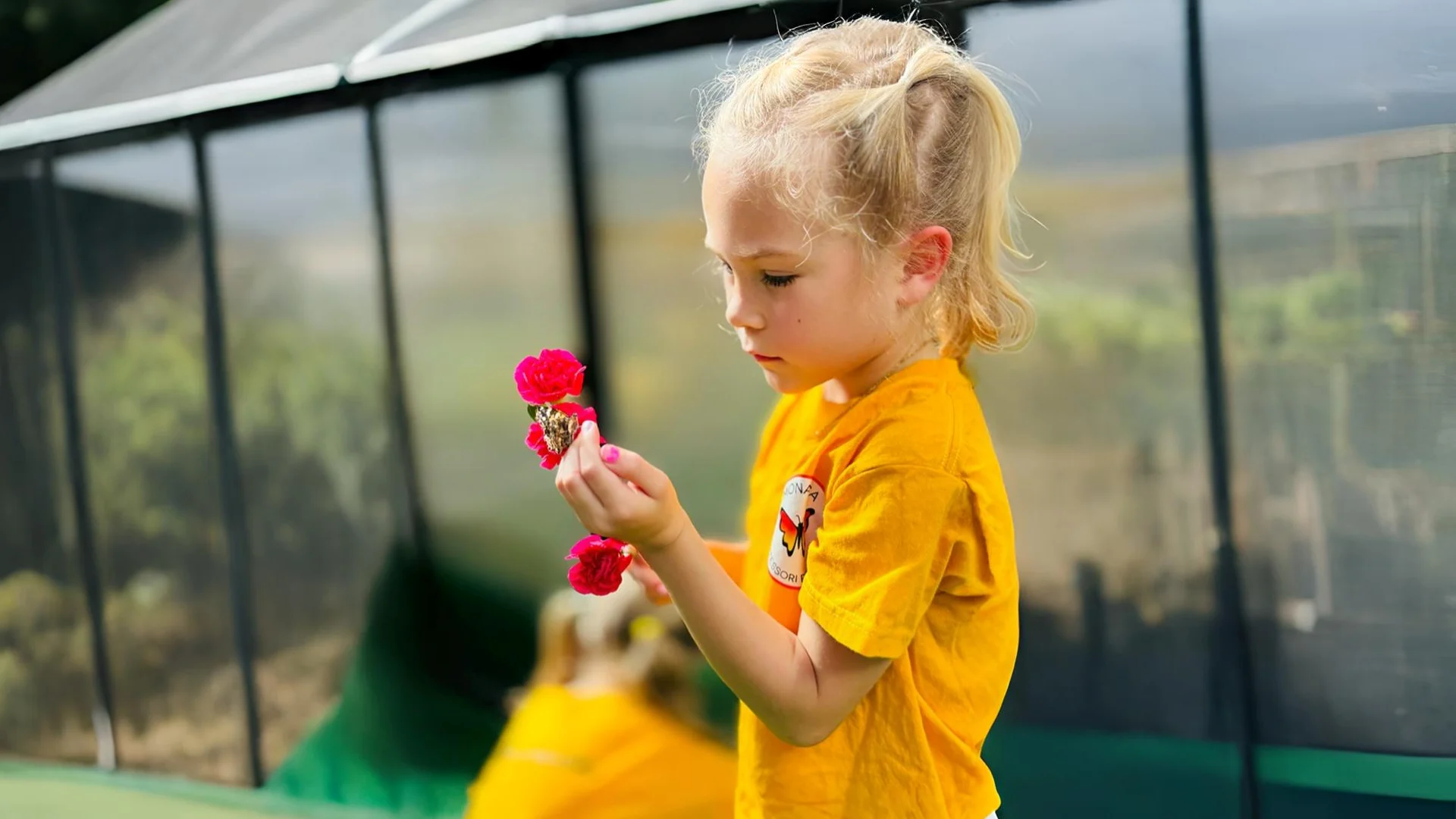 Monarca Montessori Preschool - Nurturing Education